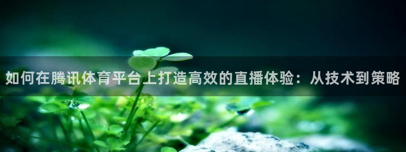 如何在腾讯体育平台上打造高效的直播体验：从技术到策略