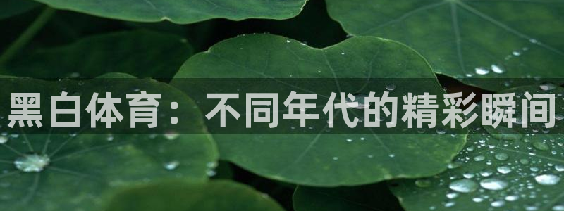 黑白体育：不同年代的精彩瞬间